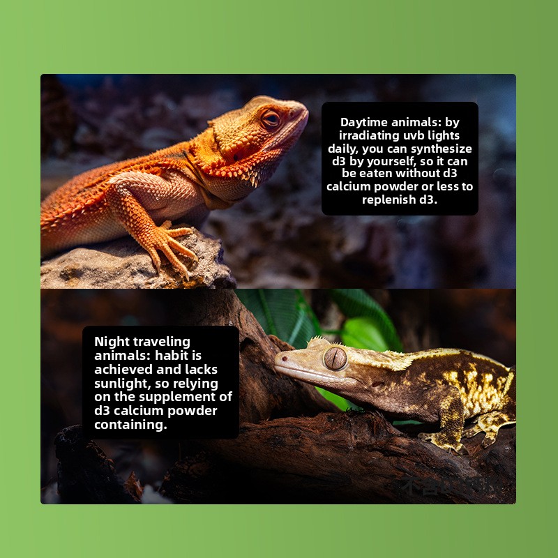 Reptizoo polvo de calcio para  - Calcium Powder Reptile reseña y precio