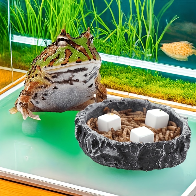 6 bloques de calcio para acuar - Calcium Powder Reptile reseña y precio
