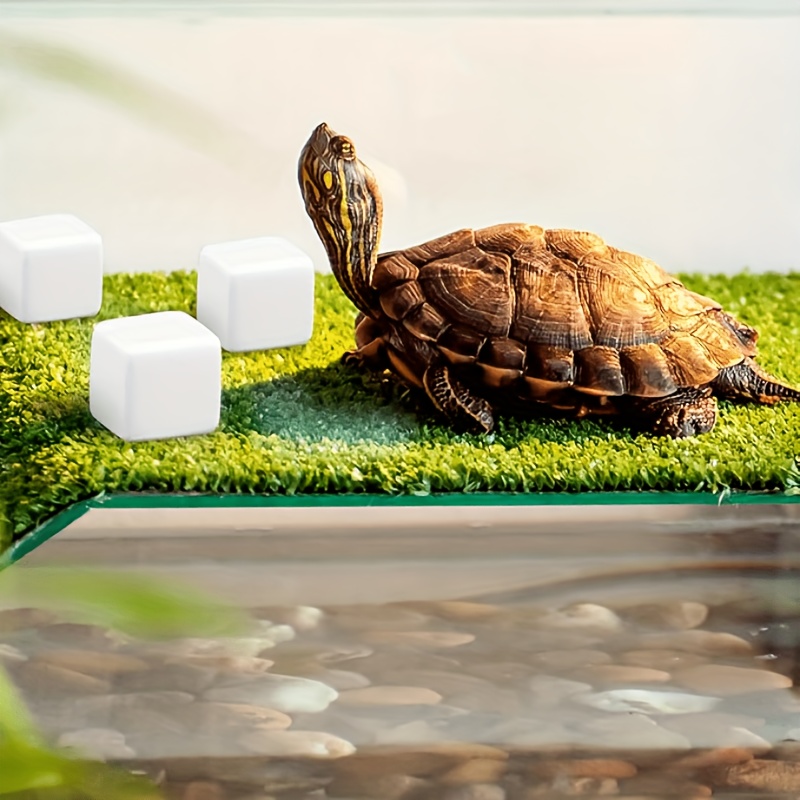 6 bloques de calcio para acuar - Calcium Powder Reptile reseña y precio